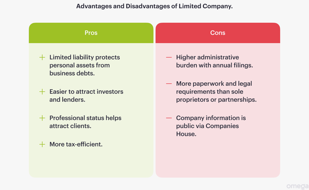 Advantages and disadvantages of limited company