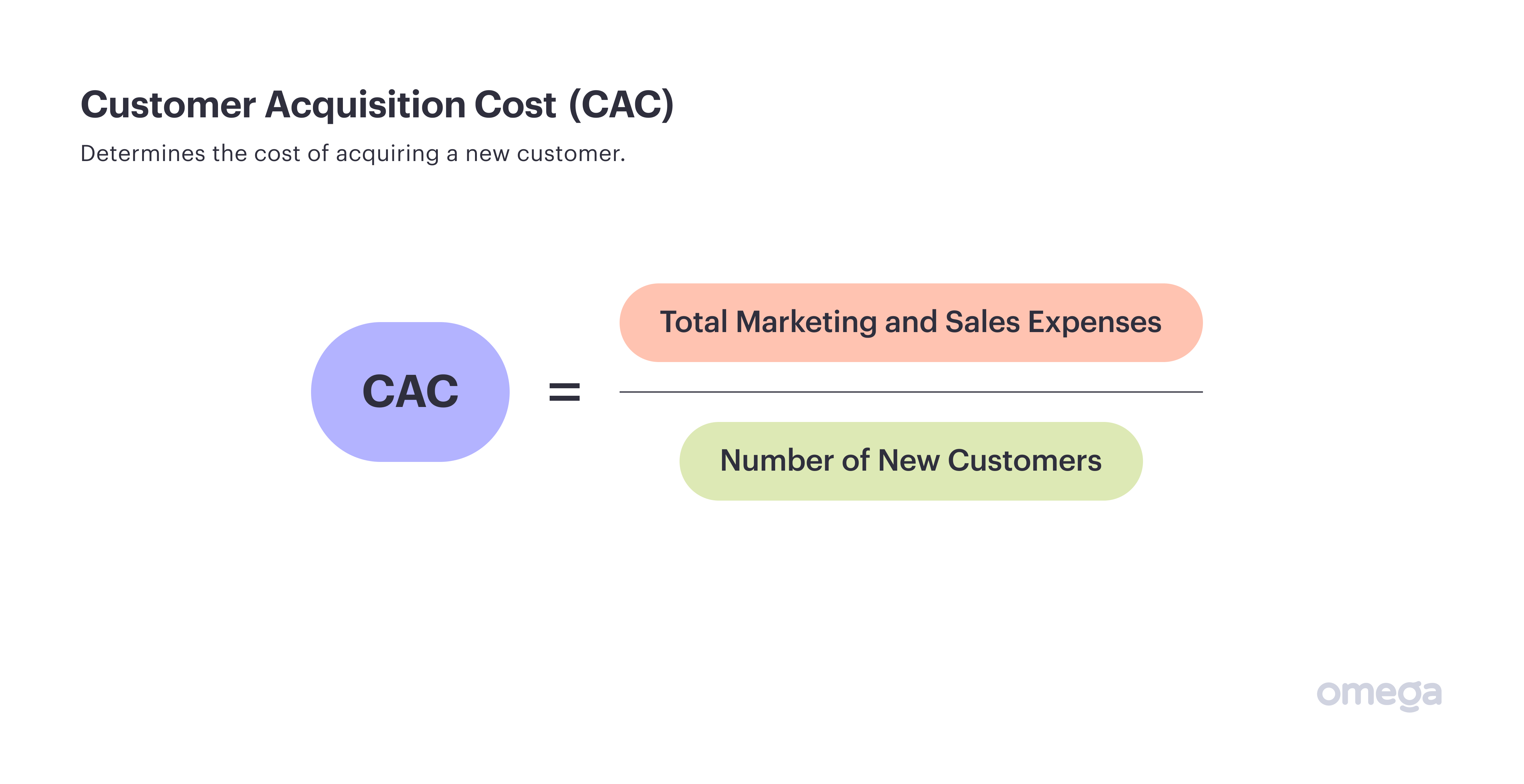 Customer Acquizition Cost (CAC)